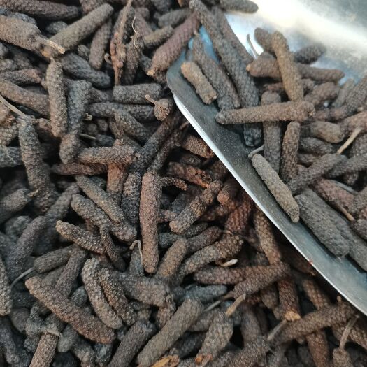 荜茇  毕拨果  水洗大毕苃中毕苃全干无硫，批零兼营行情上涨