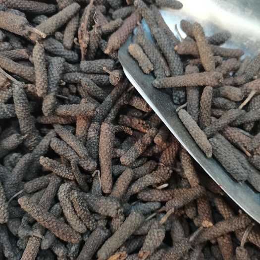 玉林荜茇  毕拨果  水洗大毕苃中毕苃全干无硫，批零兼营行情上涨