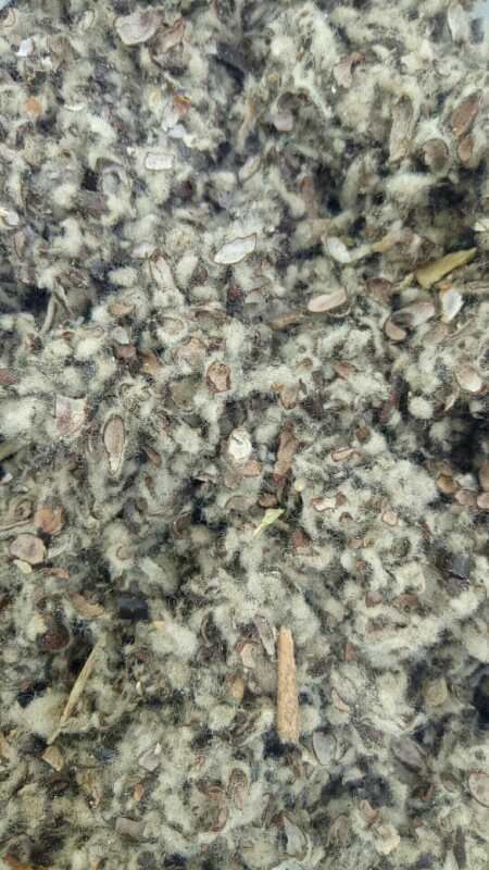 棉籽壳棉渣玉米芯颗粒压块，麸皮次粉稻草木屑，甜菜粕啤酒糟