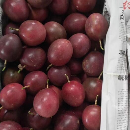 信宜市紫香一号百香果 紫色高山百香果，不入冷库，不打保鲜剂，现摘现发！
