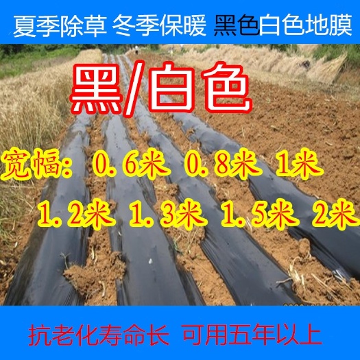 沭阳县黑地膜除草膜农用加厚黑膜大棚蔬菜果园用保温保湿白膜银黑反光膜