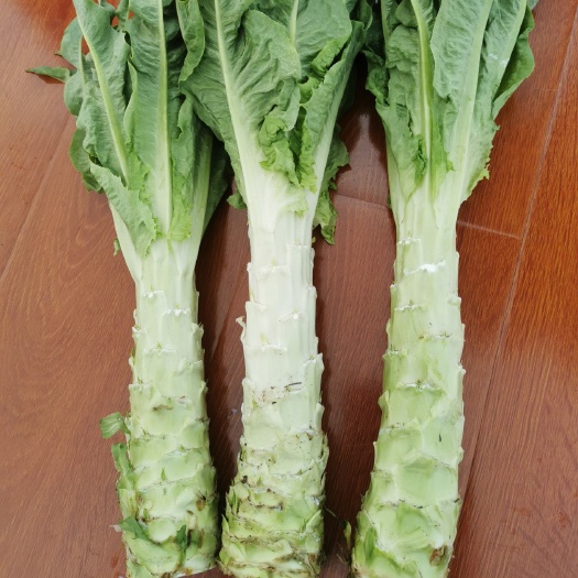 南华县青叶莴笋 彩云南绿色无公害蔬菜，口感香脆，品质一流！