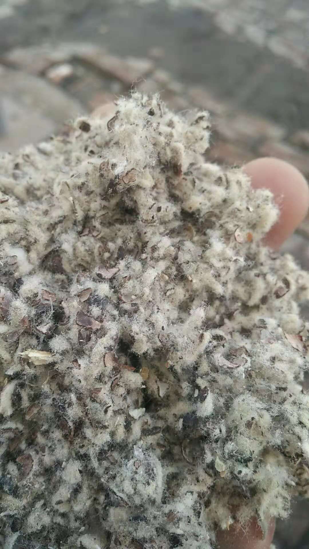 棉籽壳棉渣玉米芯颗粒压块，麸皮次粉稻草木屑，甜菜粕啤酒糟