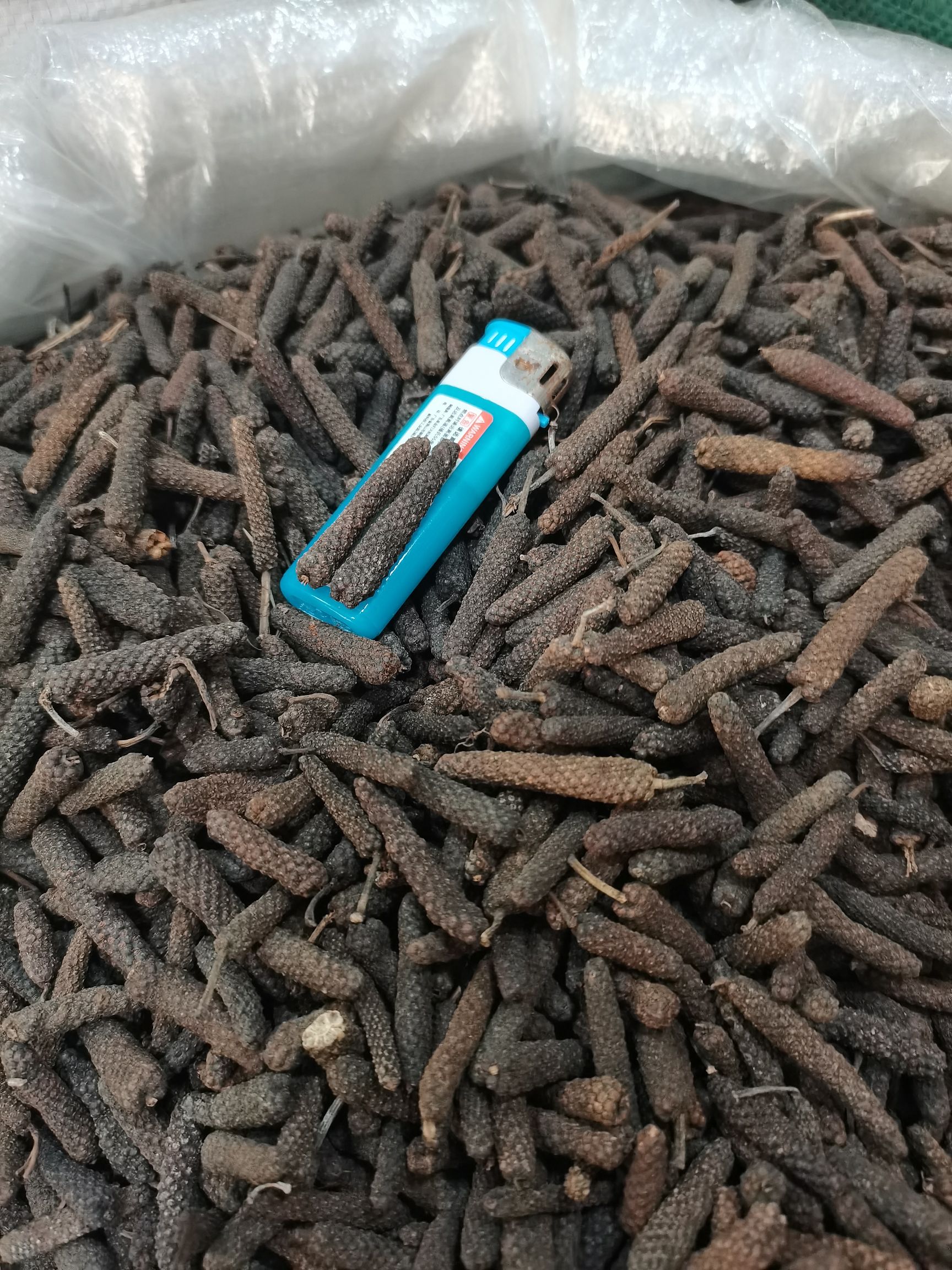 荜茇  毕拨果  水洗大毕苃中毕苃全干无硫，批零兼营行情上涨