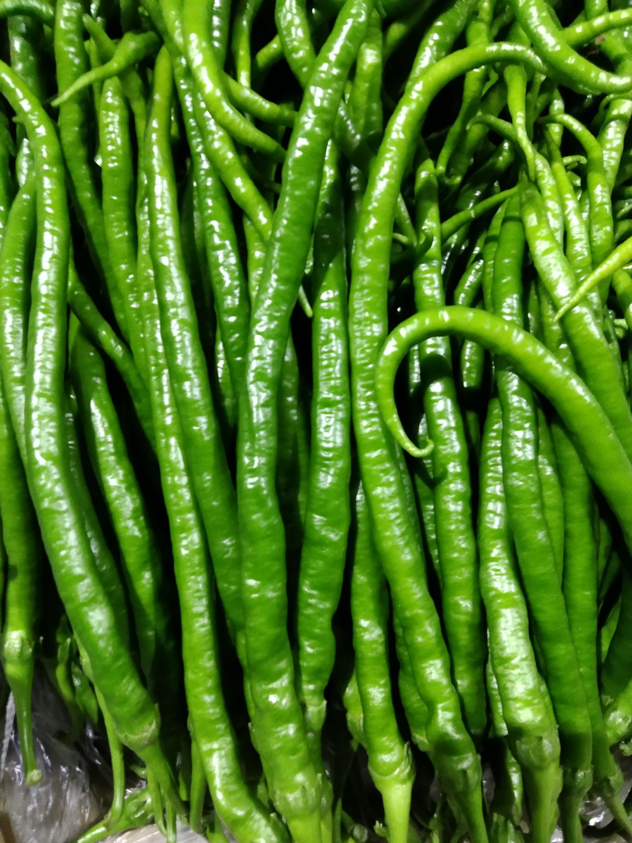 薄皮椒 云南省保山市昌宁县