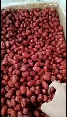 灰枣  新彊若羌红枣大，中，小，各规格齐全，大量供应批零兼营