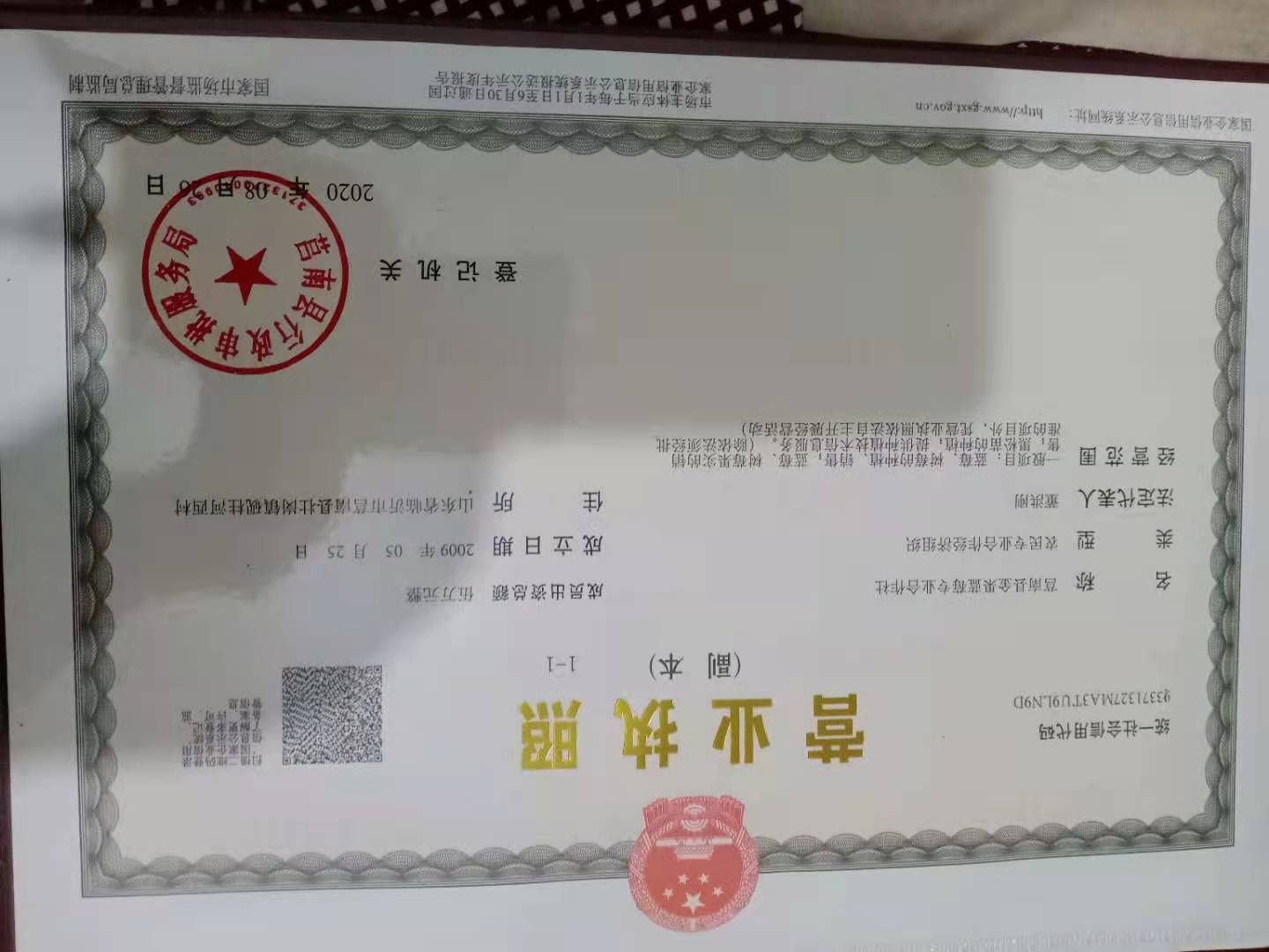 大叶桑苗  桑苗，果桑苗，实生苗，嫁接苗，山东临沂董洪刚