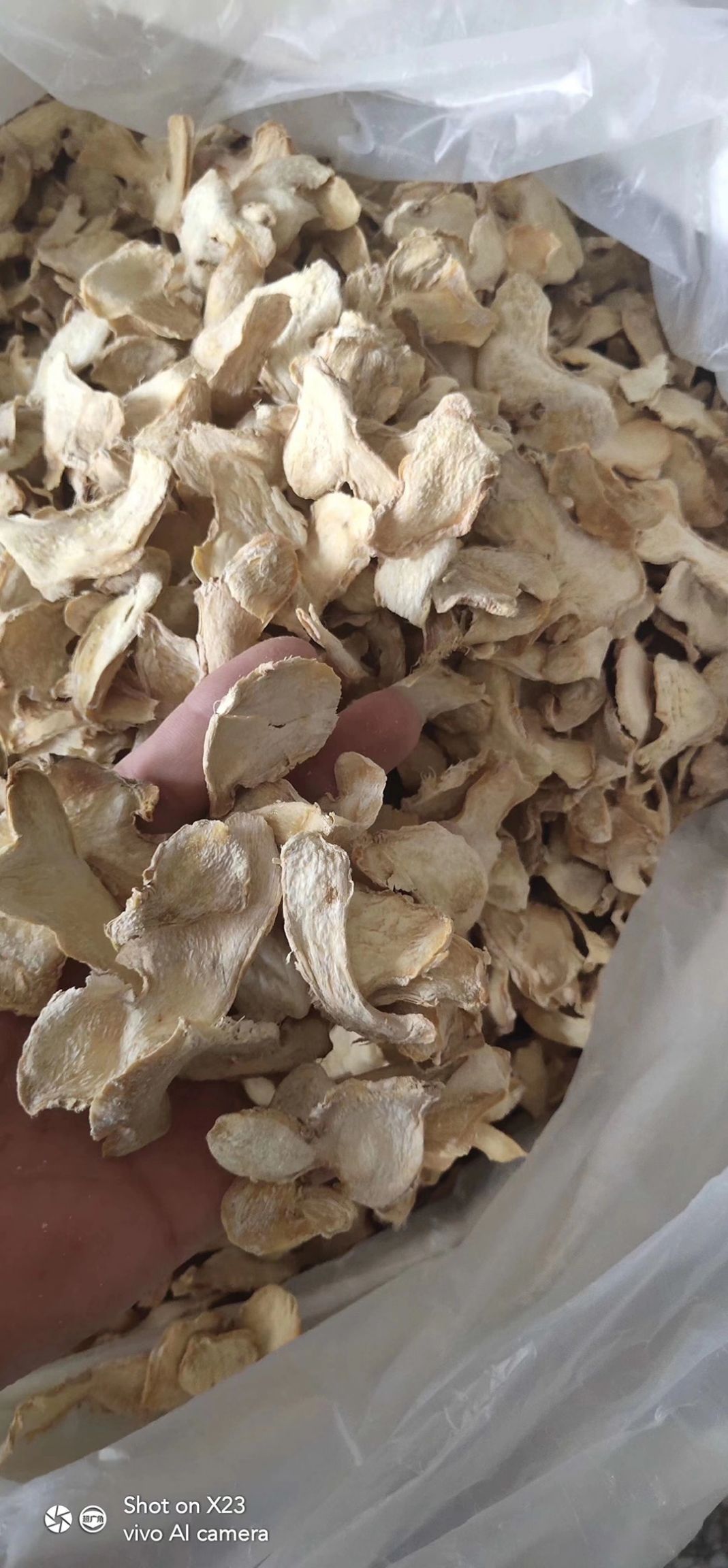 云南小黄姜无硫全干选姜片，姜味浓够含量大货供应，批零兼营