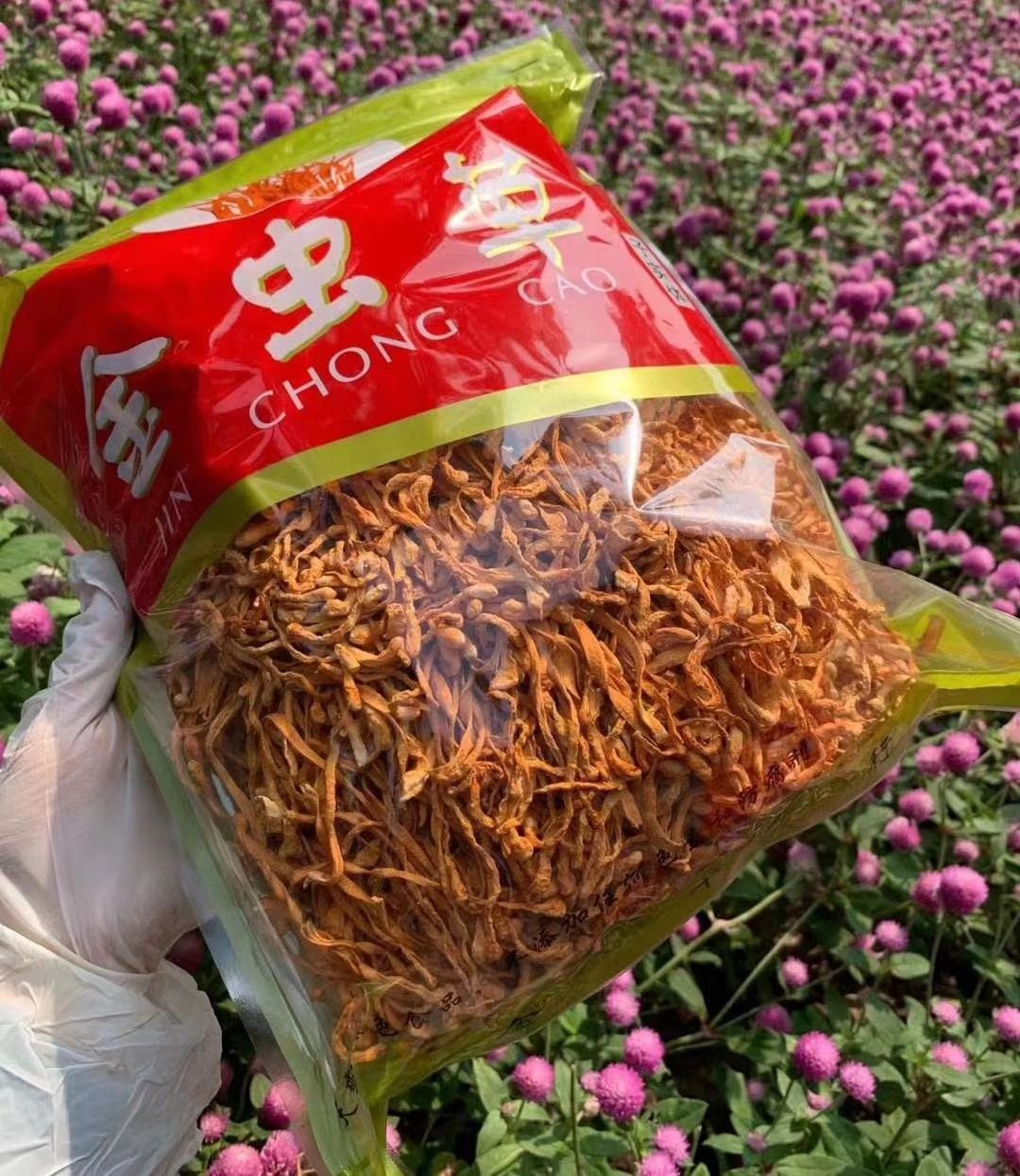 东北虫草花横排顺排特选新货纯无硫颜色好大货供应批零兼营