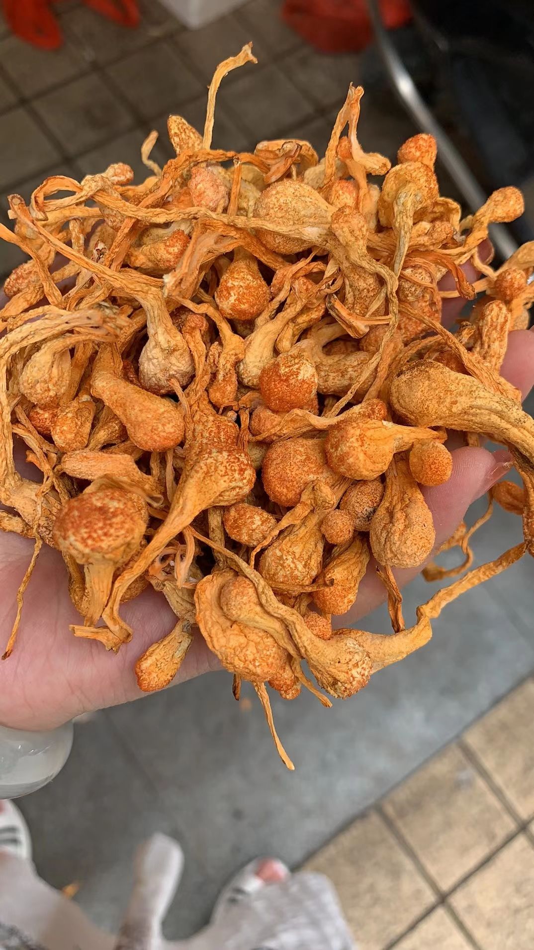 东北虫草花横排顺排特选新货纯无硫颜色好大货供应批零兼营