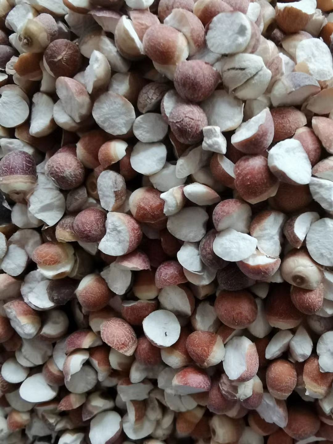 江西佘干半开边干芡实米新货无硫批零兼营量大价格有优势