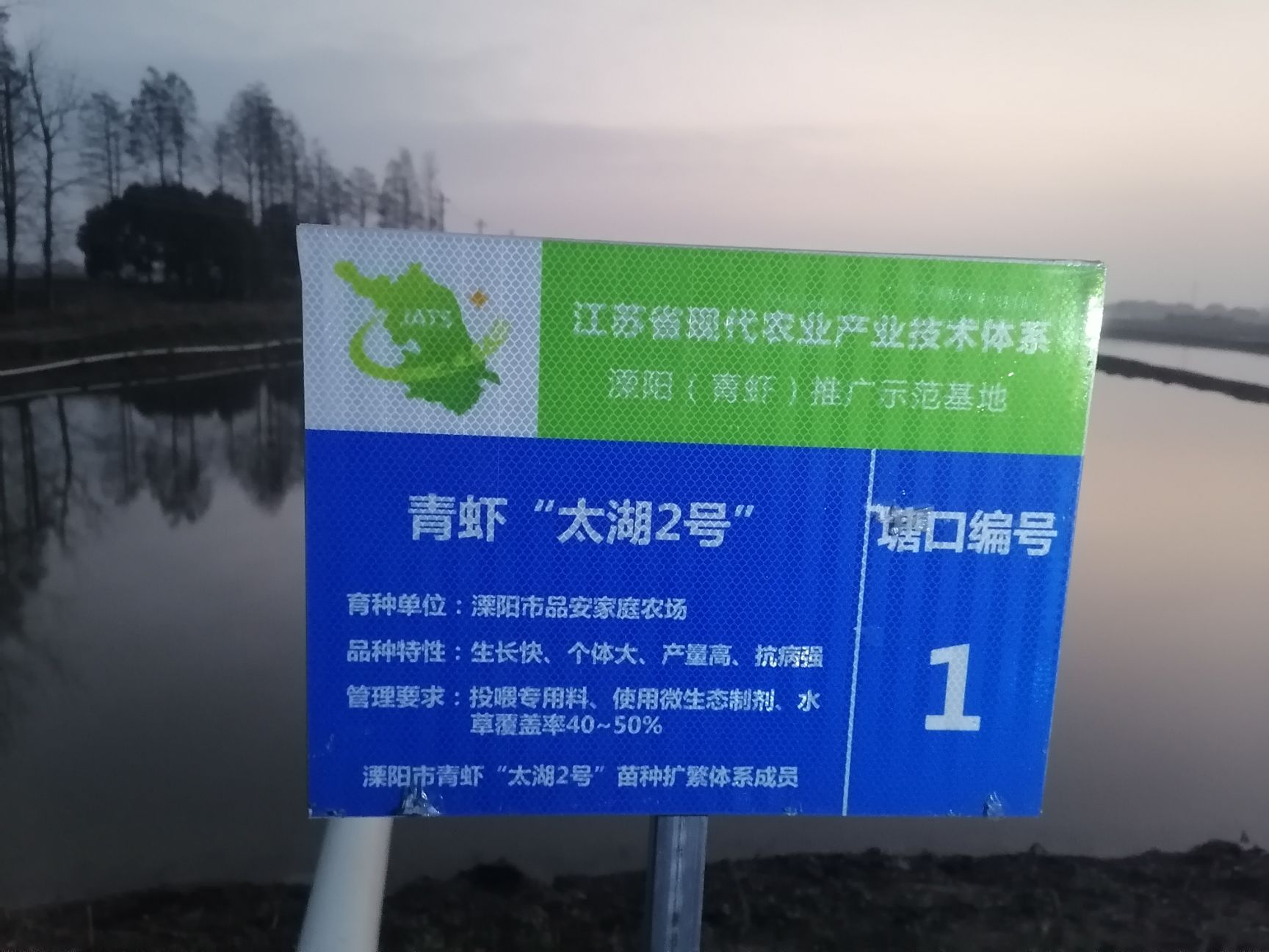 青虾苗 安徽省马鞍山市当涂县 
