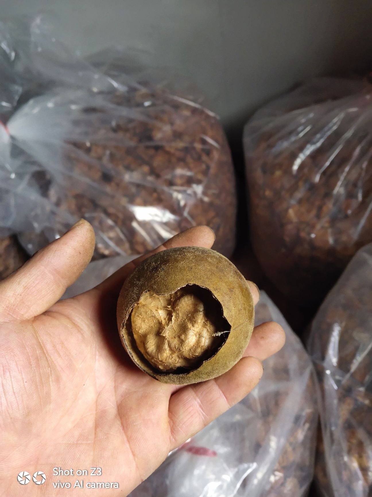 罗汉果.广西桂林产地搬运破损果.论斤卖