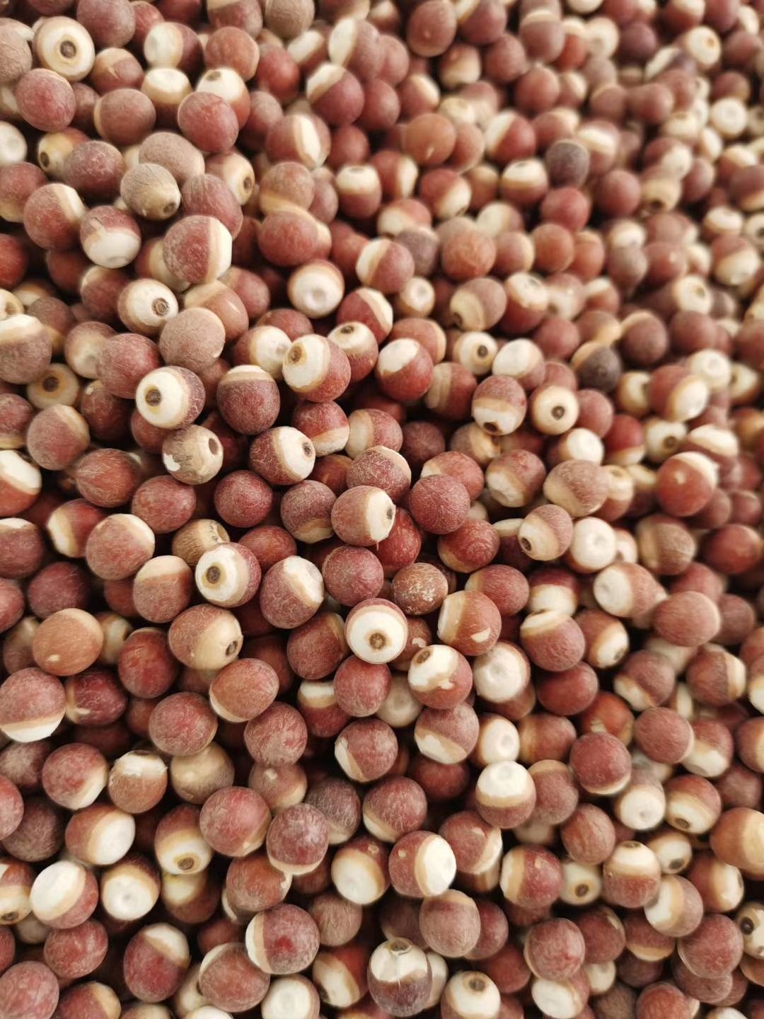 江西佘干半开边干芡实米新货无硫批零兼营量大价格有优势