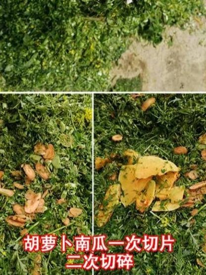 家用电动切草机瓜果薯类切丁器养猪鸡鸭鹅青饲料粉碎机