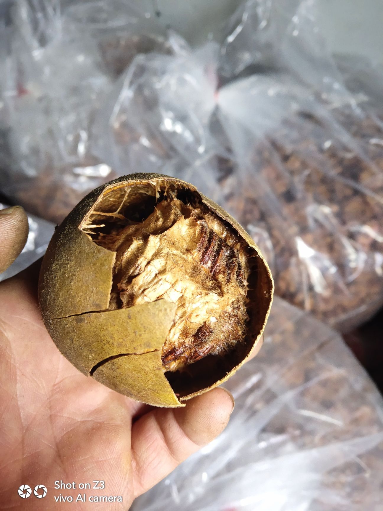 罗汉果.广西桂林产地搬运破损果.论斤卖