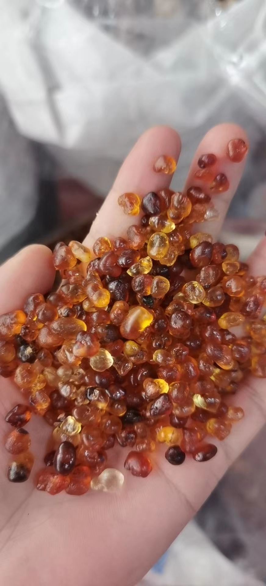 纯-黄桃胶，珍珠胶，平民买得起的植物燕窝，大量供应，批零兼营