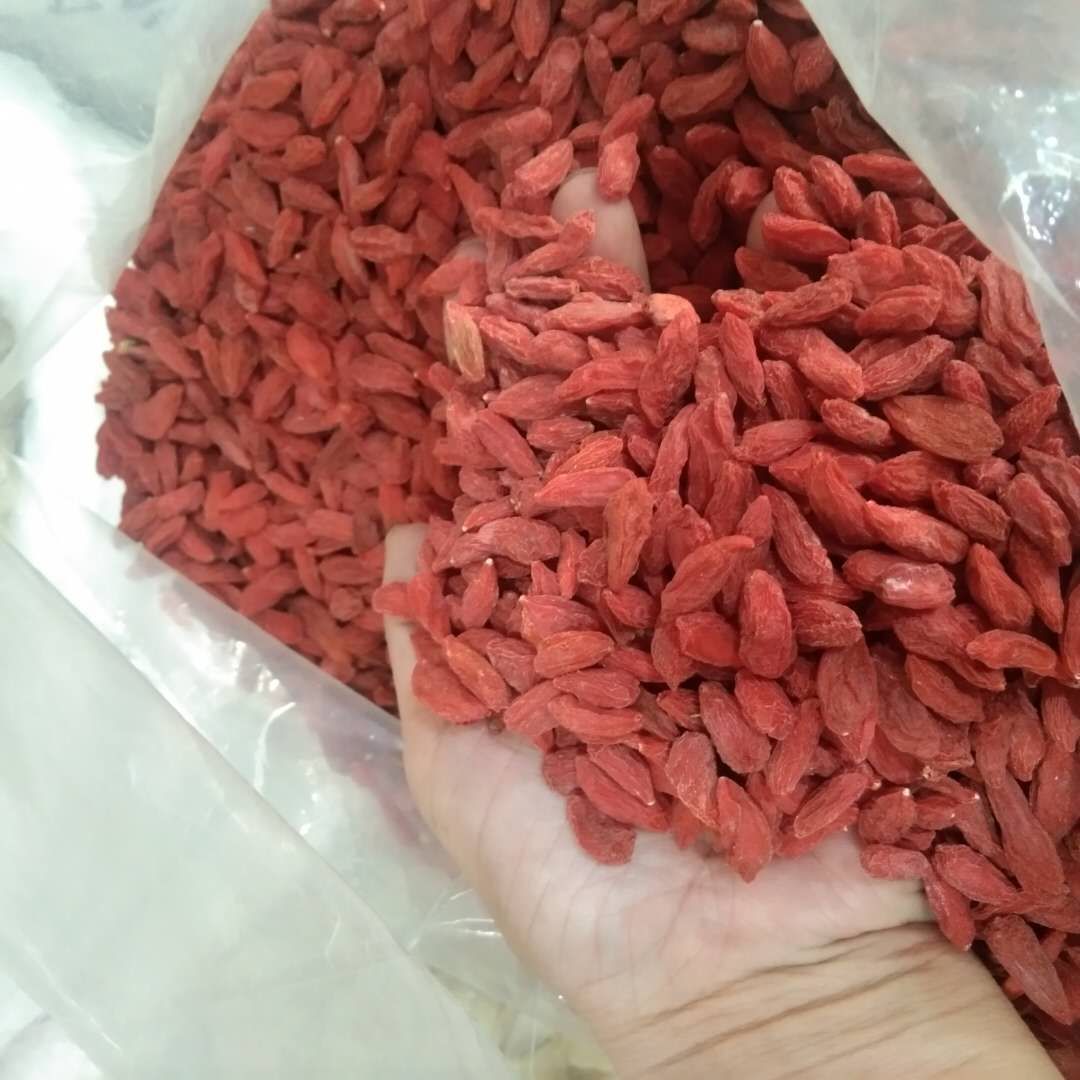 红枸杞  宁夏枸杞新货无硫天热不结块各规格批零兼营