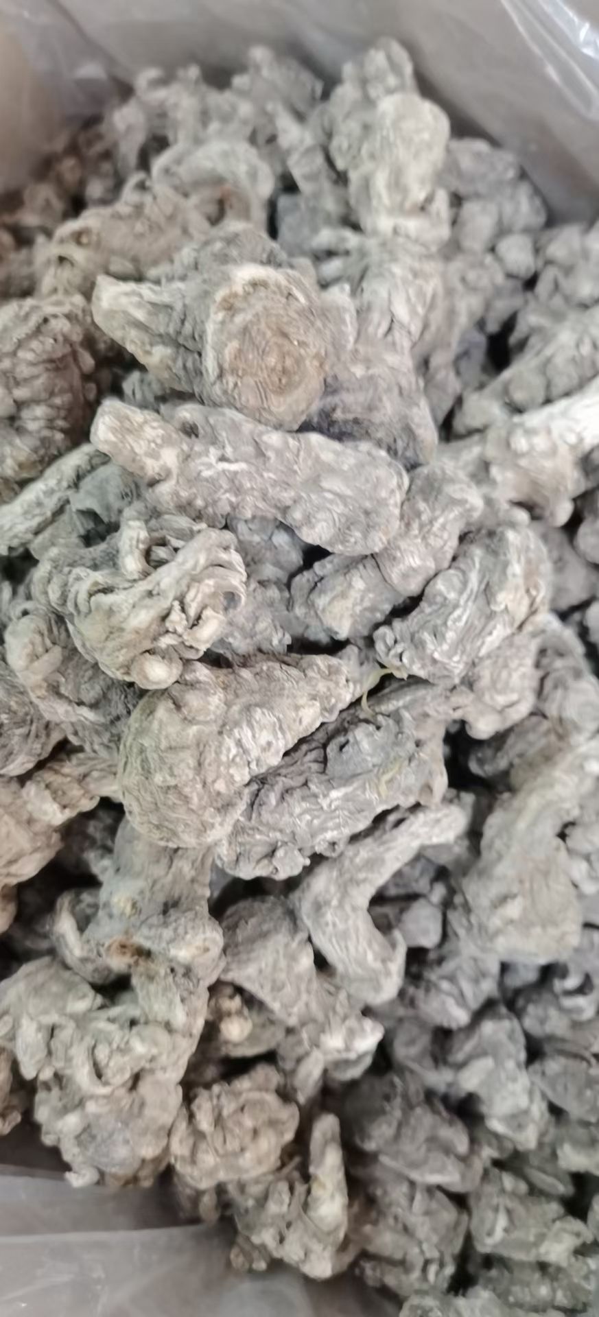 岷县当归片，当归头，中心片，大量供应，批零兼营