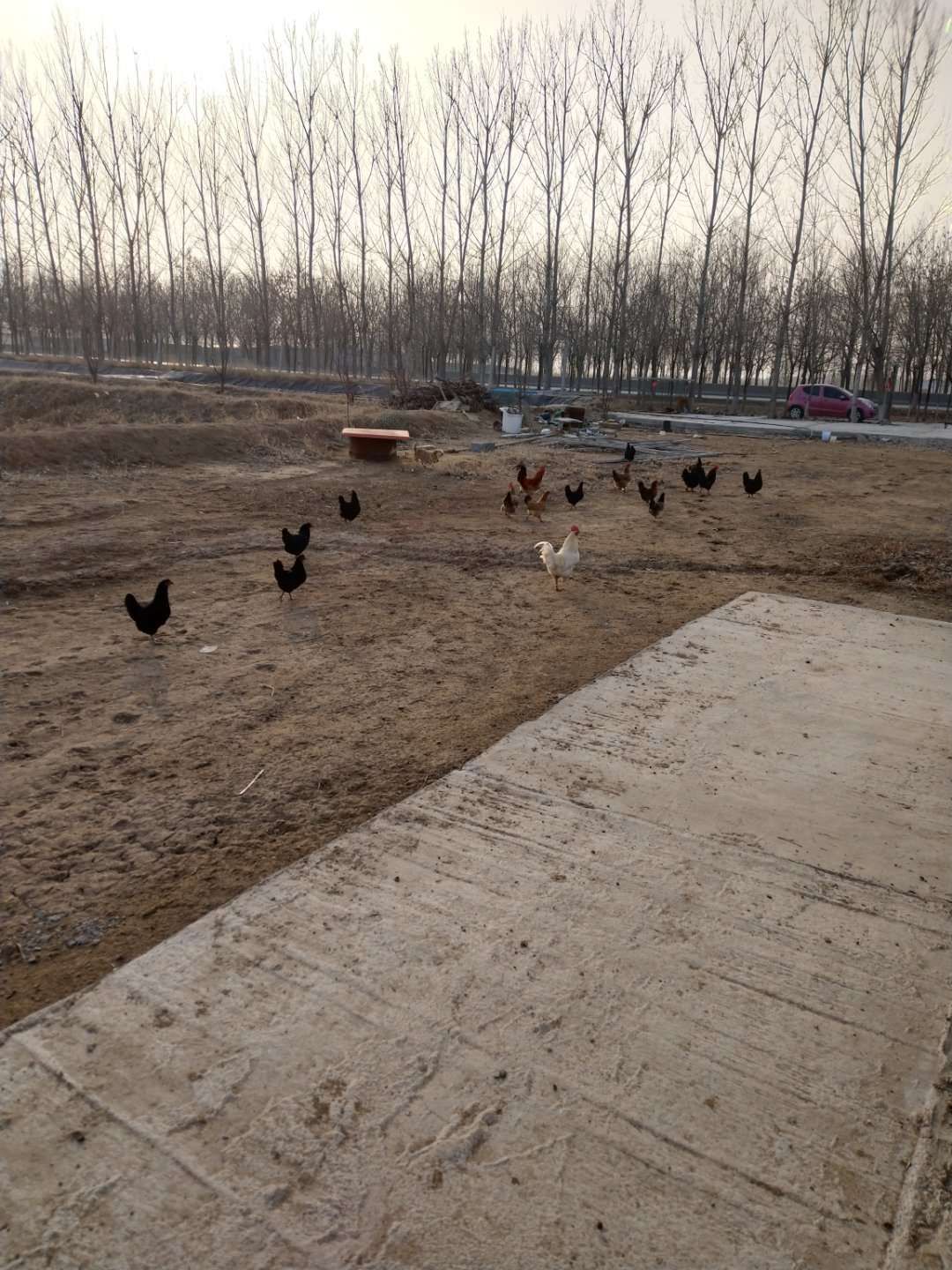 农场 果园水库耕地，可种植养殖，休闲农业