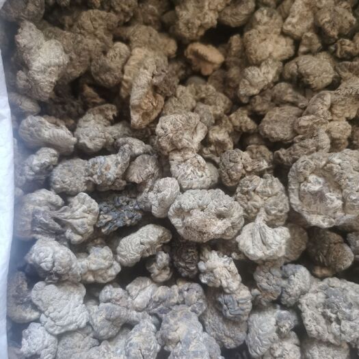 郑州猴脑菌 核桃菌干品，中医说以形补形，对么，补么