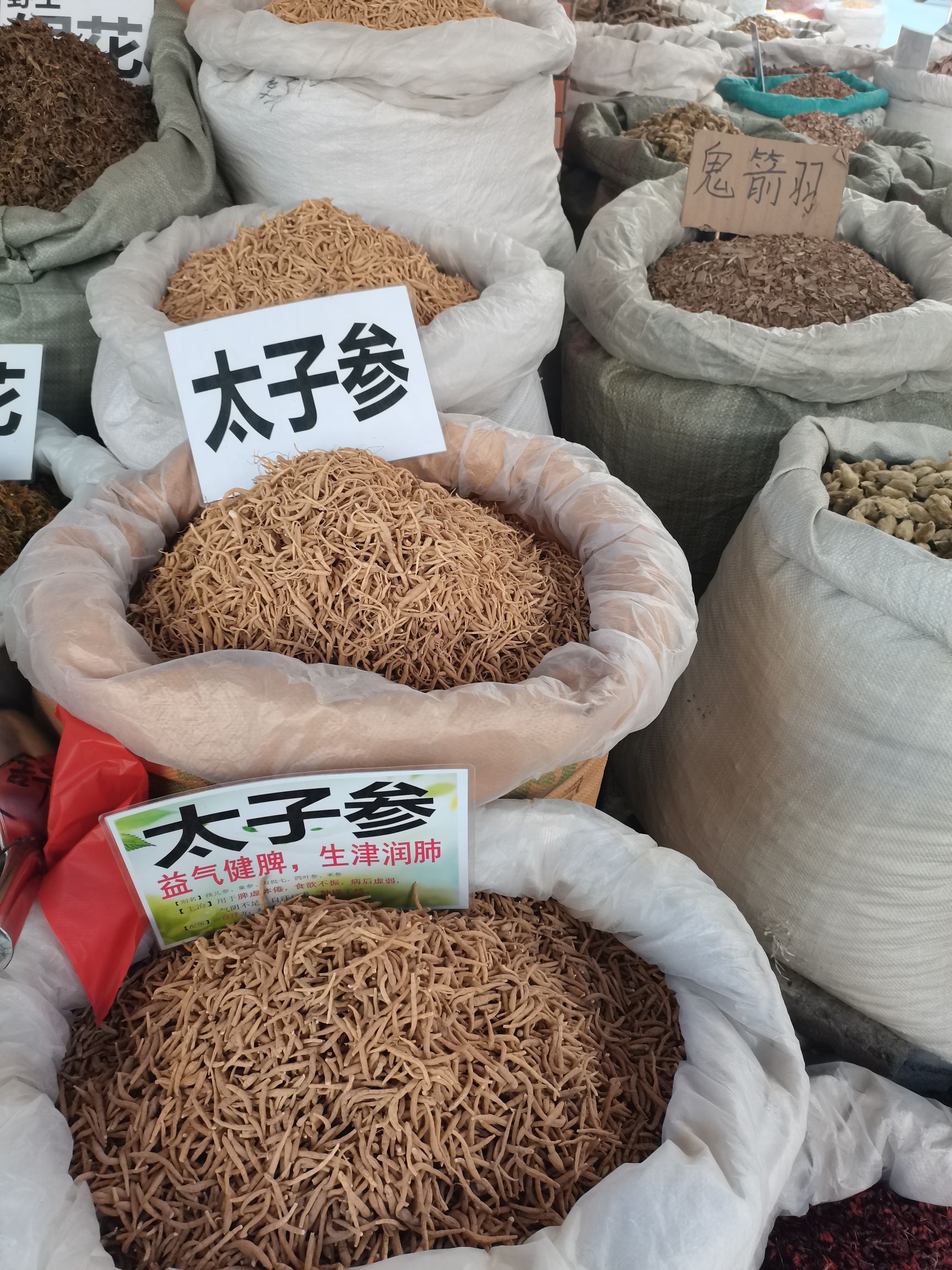 太子参精品，纯无硫新货，大量供应，批零兼营，质优价美