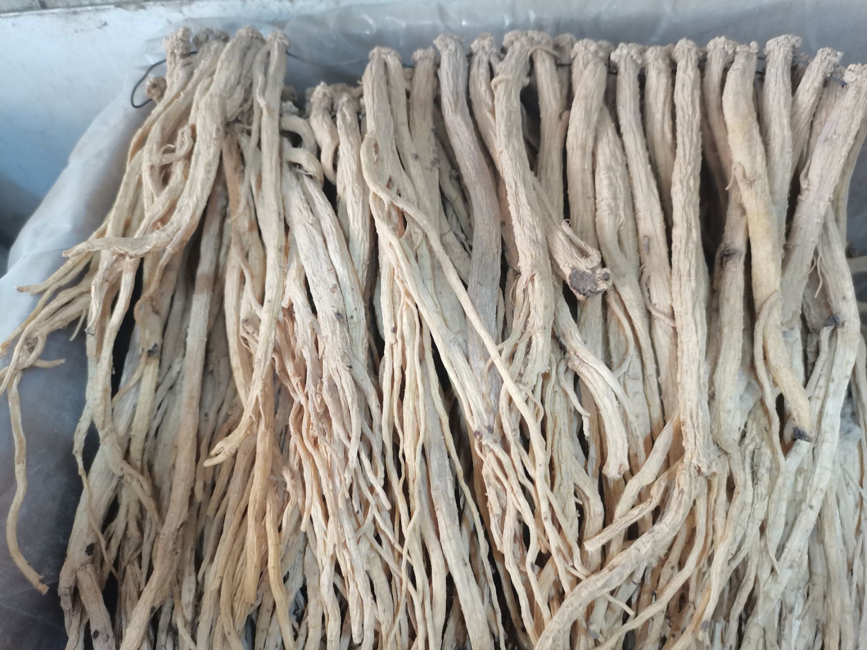 白条党参无硫新货，各规格齐全，大货供应，批零兼营，质优价美