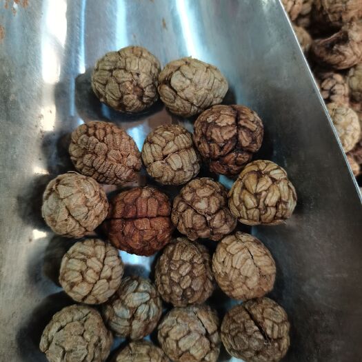 玉林特绿中草蔻，广西大草蔻，大量供应，批零兼营，