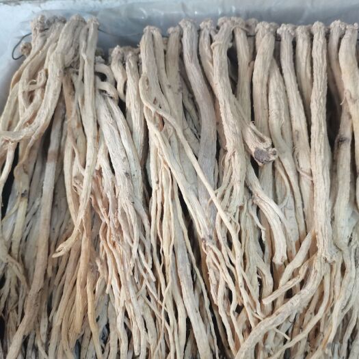 玉林白条党参无硫新货，各规格齐全，大货供应，批零兼营，质优价美