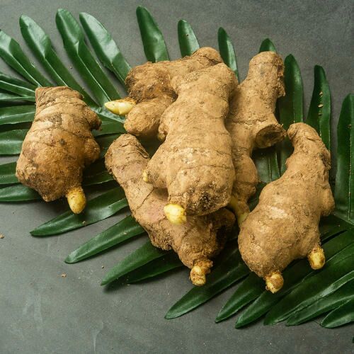 【精选】368脱毒高产王姜种   《改良脱毒 亩产过万》