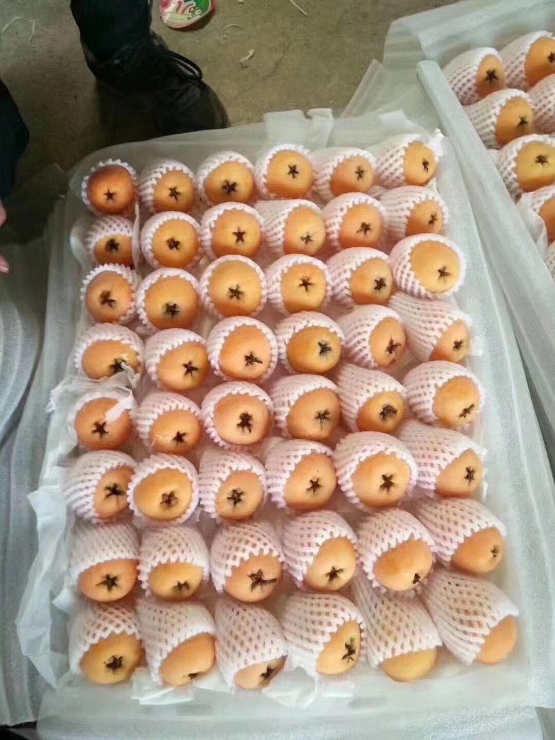  大五星枇杷，的精品。