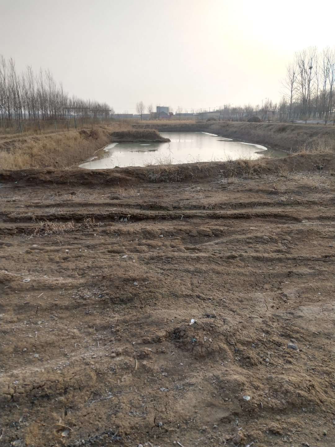 农场 果园水库耕地，可种植养殖，休闲农业