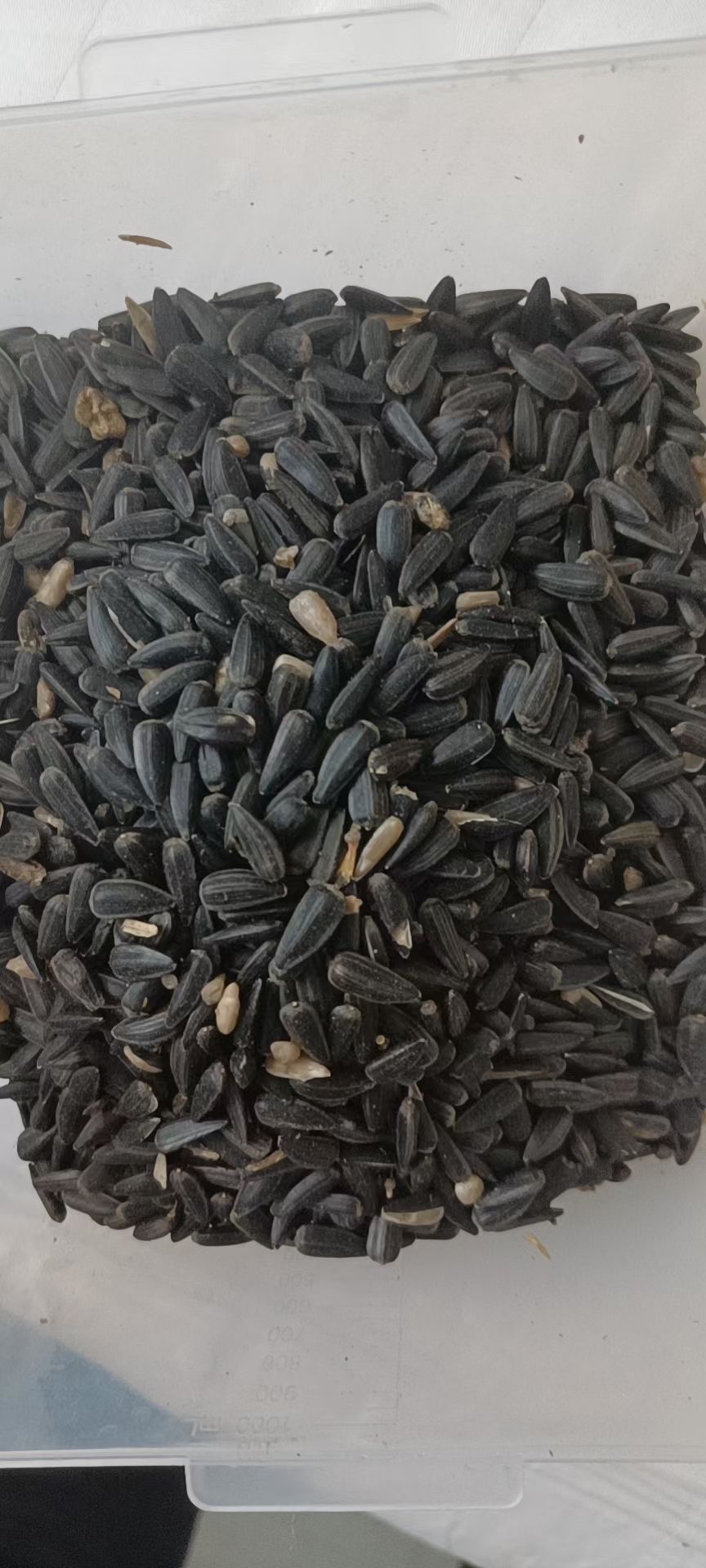 亚麻籽精选一级、二级，哈萨克斯坦，俄罗斯等产地，品质服务一流