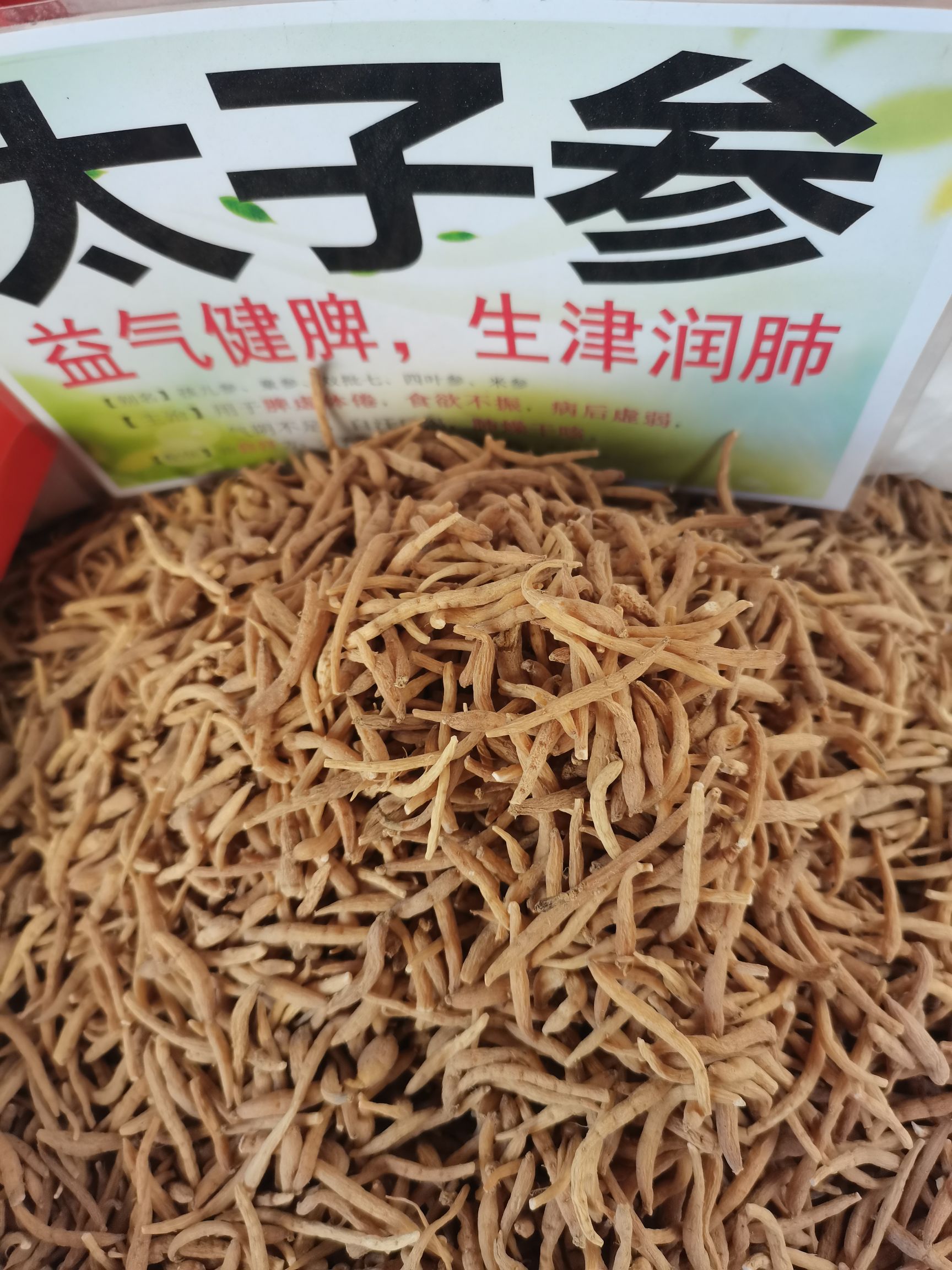 太子参精品，纯无硫新货，大量供应，批零兼营，质优价美