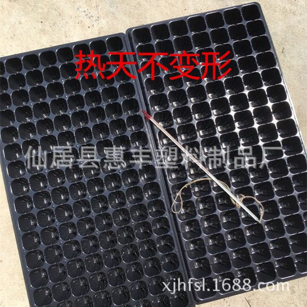 穴盘/育苗盘  厂家直销  32孔50孔72孔105孔128孔常规育苗穴盘