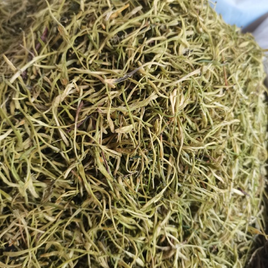 玉林包邮自然晒干金银花无硫包含量过检绿金银花批零兼营