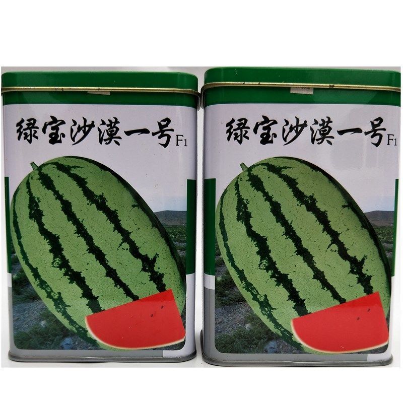  绿宝沙漠一号西瓜种子 特大巨型大西瓜 红瓤甜度高抗裂耐运输8