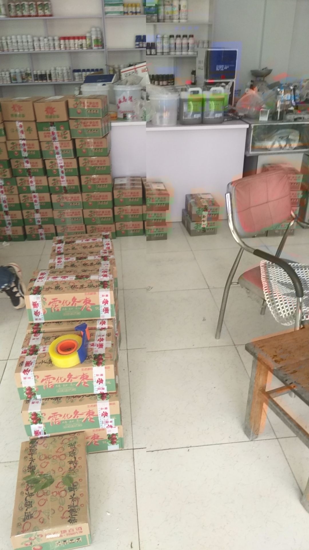  正宗自己家种的沾化冬枣，保脆保甜，形状正规