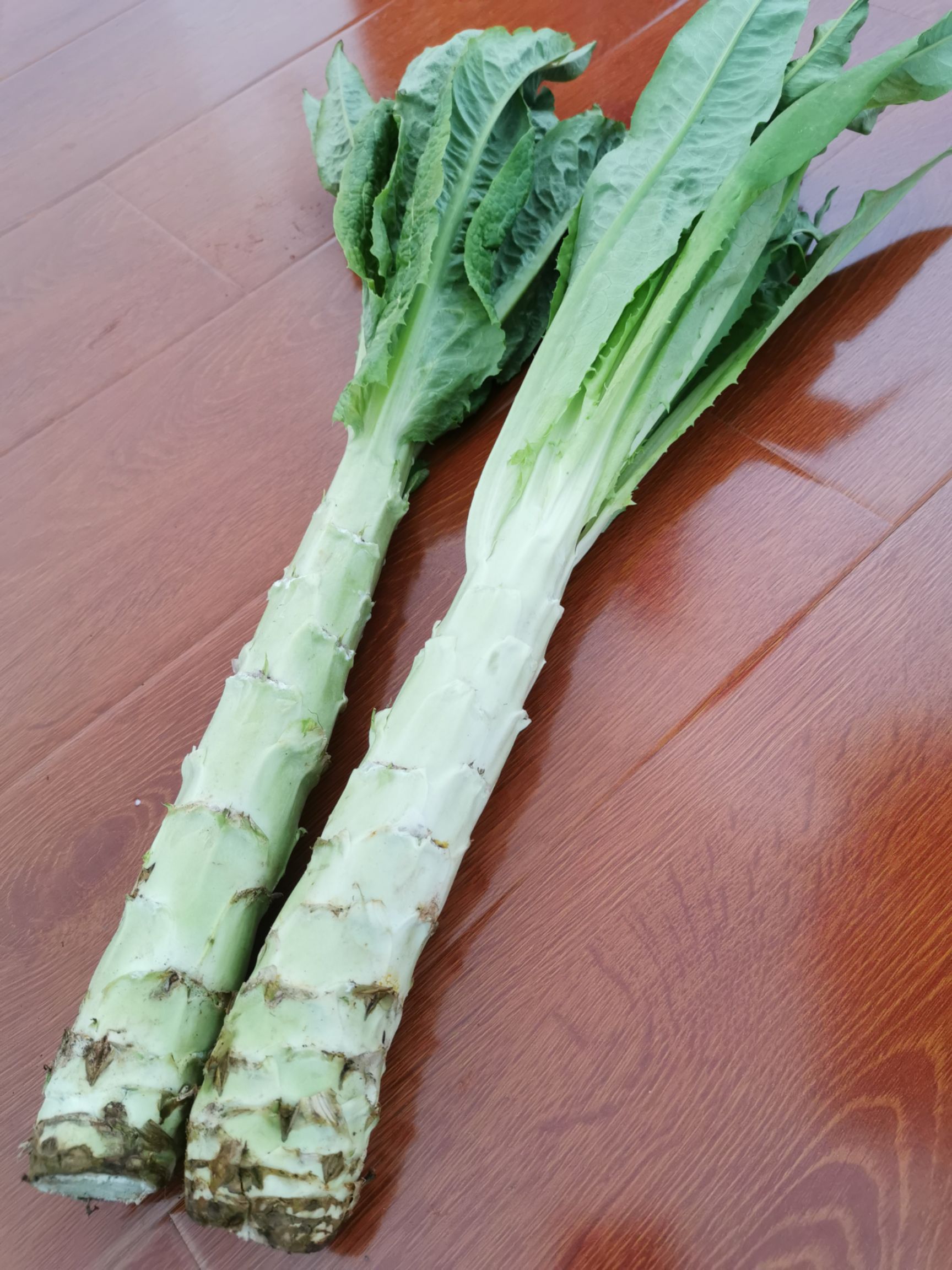 青尖叶莴笋 露天种植贡笋,无农残留,口感香脆,品质一流,限量供应.