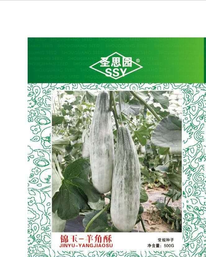 羊角蜜甜瓜苗，嫁接羊角蜜甜瓜苗