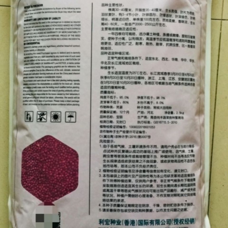 芹菜种子 香菜种子宝丽香菜种子生长势强叶深绿色质地柔嫩香味浓的香菜种子