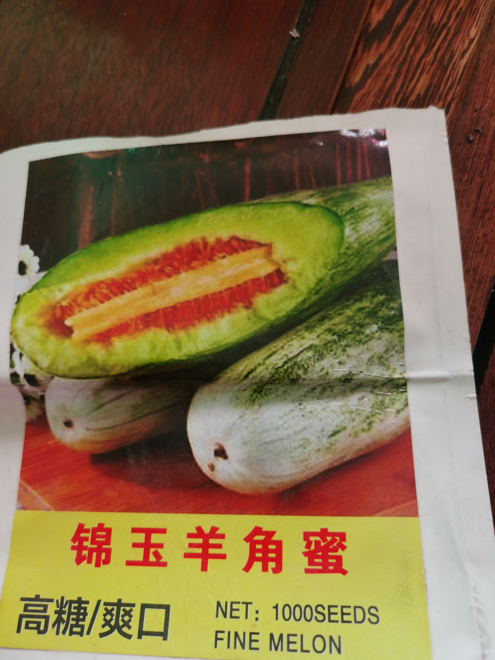 羊角蜜甜瓜苗，嫁接羊角蜜甜瓜苗