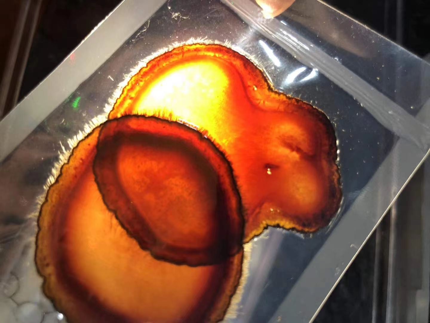 腊片 鹿茸全腊片 各种等级腊片 批发