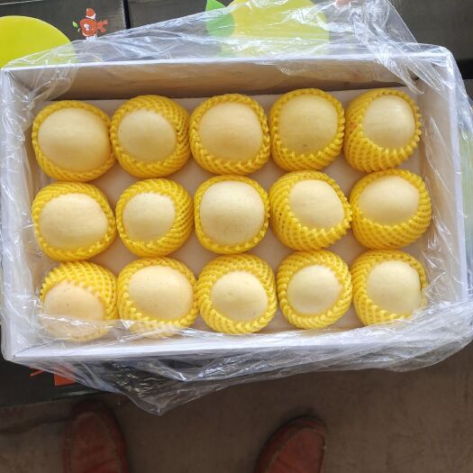 栖霞市奶油富士  正宗栖霞苹果自家果园种植，又脆又甜，有各种不同规格供您选择
