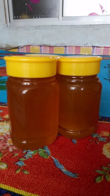桓仁县 蜂蜜  土蜂蜜 百花蜜