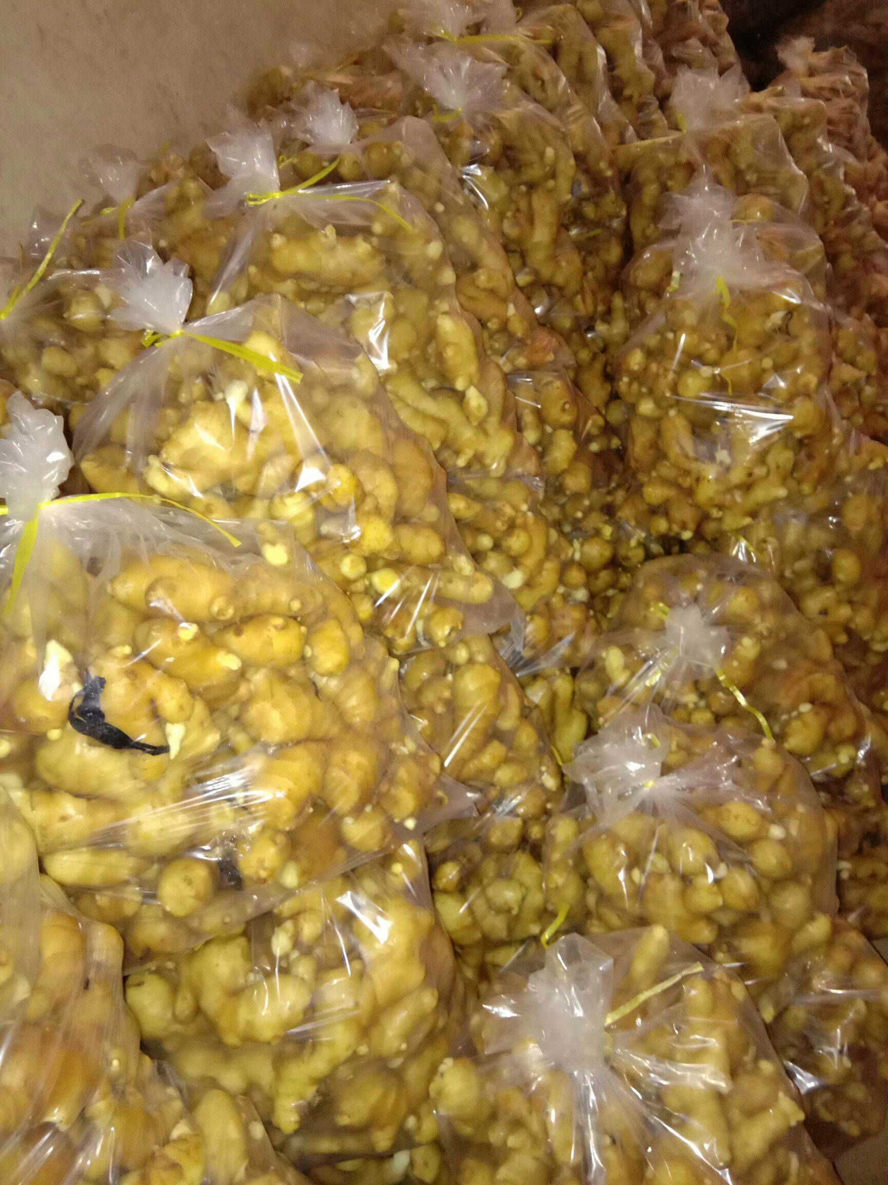 【精选】老姜  产地直销 随到随装 量大从优  欢迎咨询