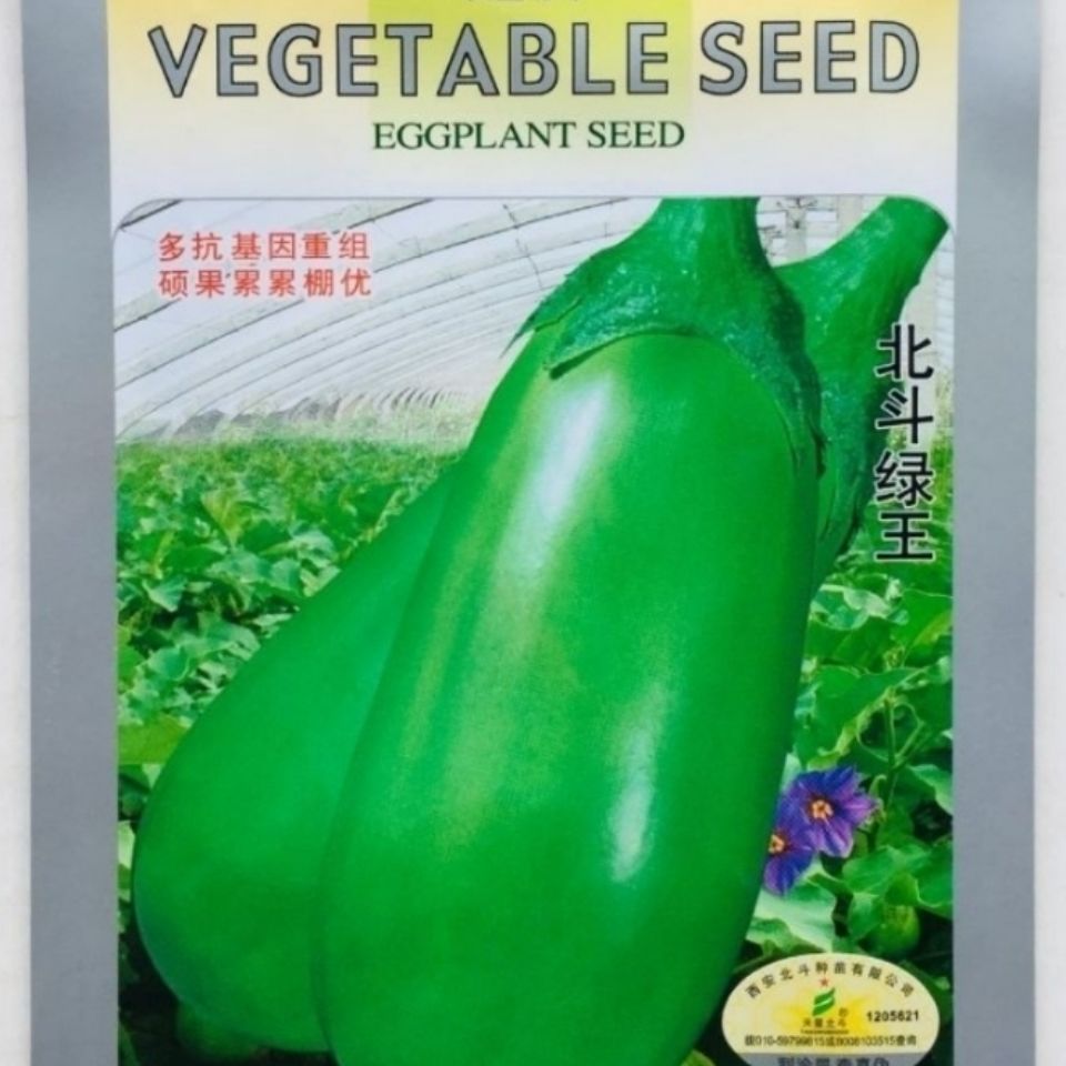  茄子种子北斗绿王青茄种子早熟果实长卵圆形色泽浓绿光茄子种子