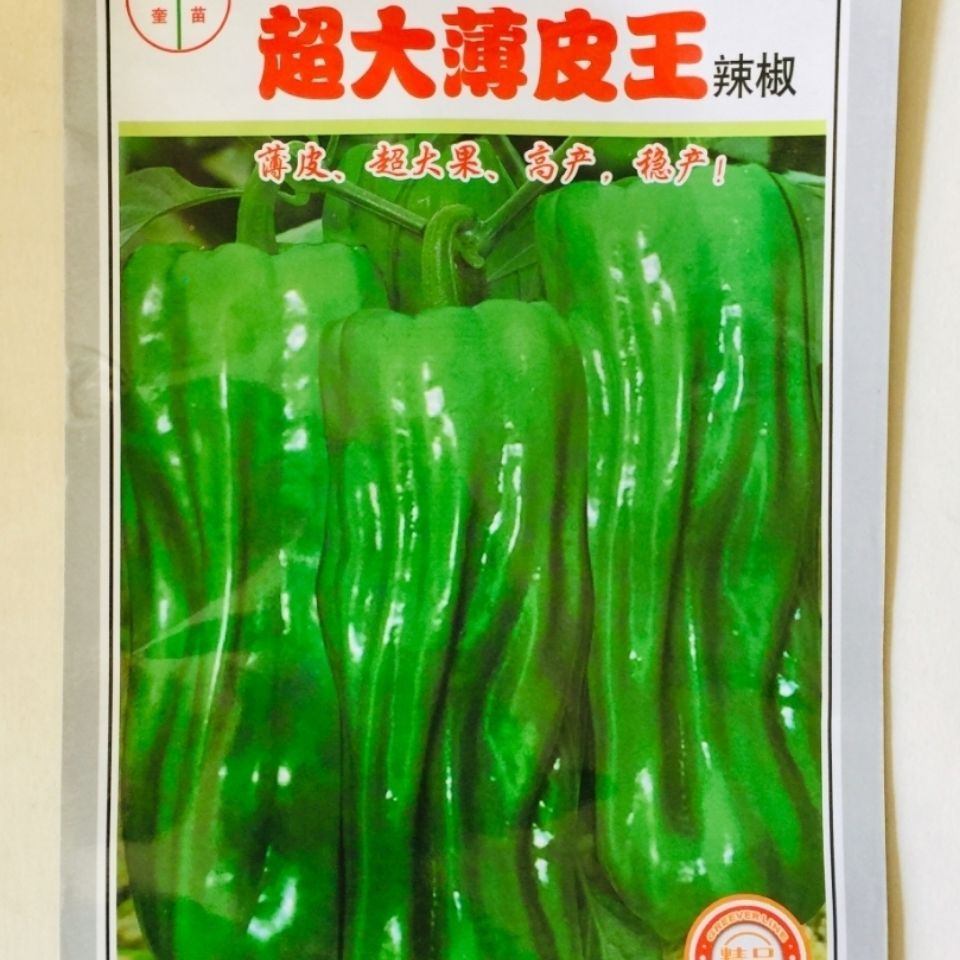  辣椒种子超大薄皮王辣椒种子早熟薄皮果实长灯笼形抗病辣椒种子