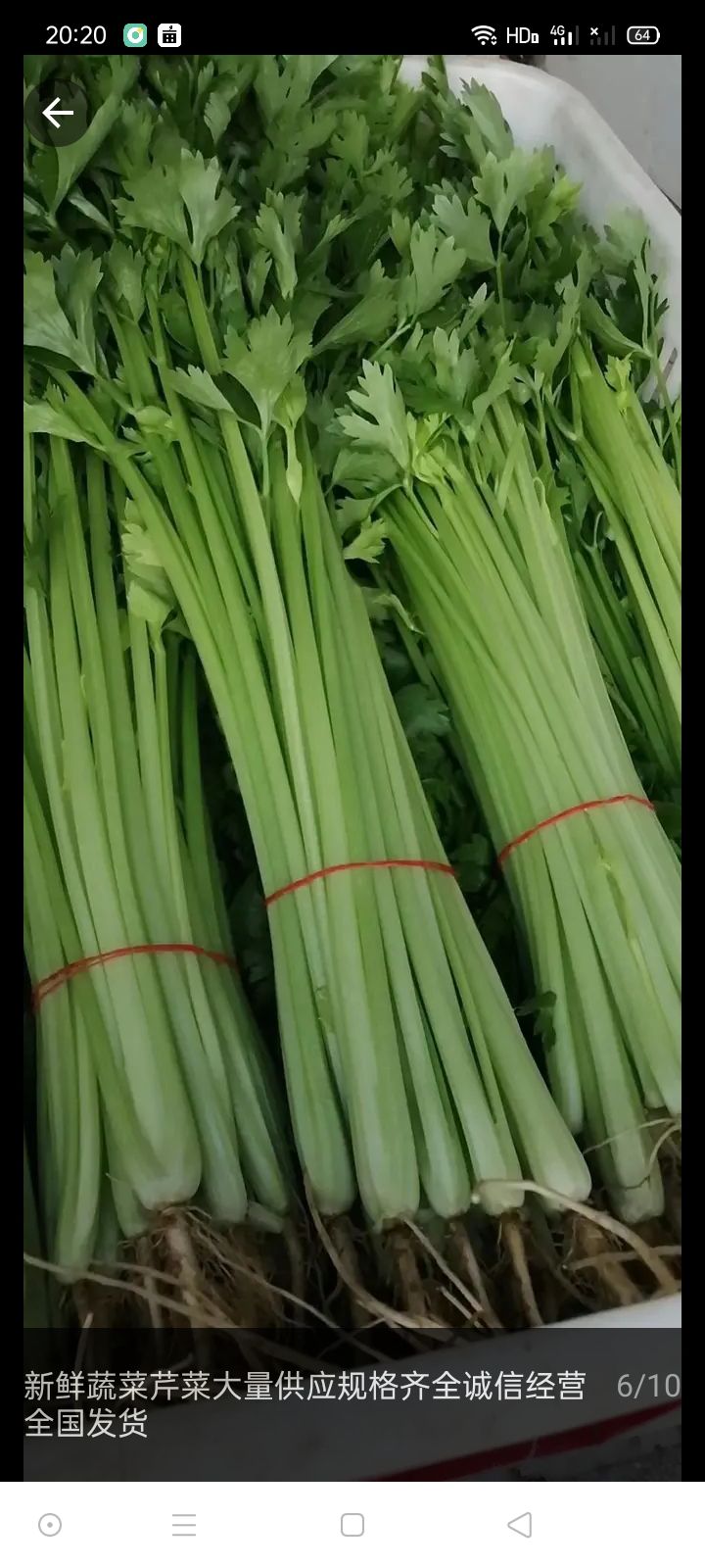 香芹 