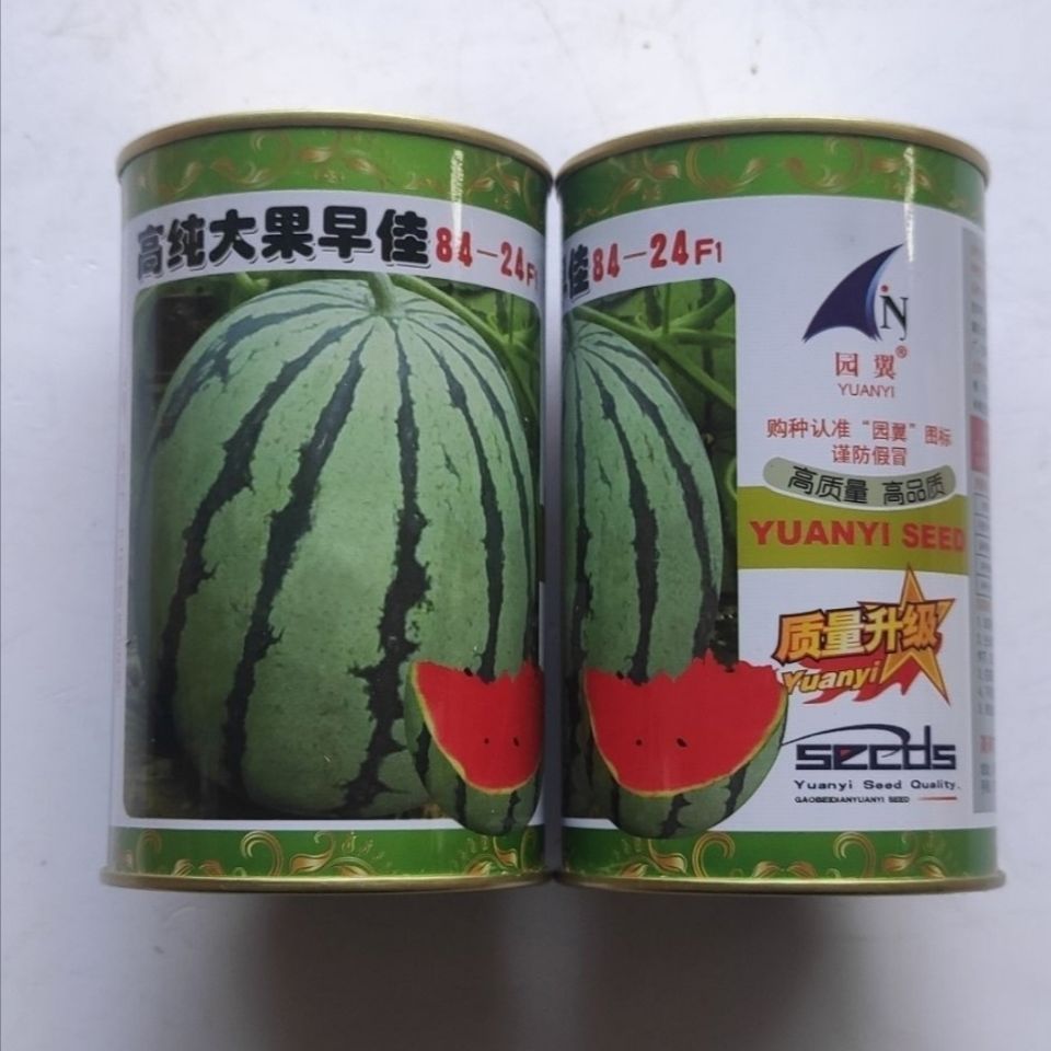  西瓜种子高纯大果8424西瓜种早熟含糖量高大果高品质少籽西瓜